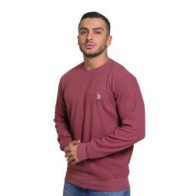 عکس دورس مردانه برند یو اس پولو مدل 3291G1POLO زرشکی